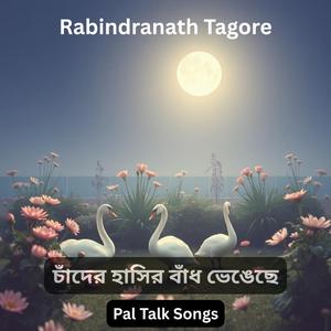 চাঁদের হাসির বাঁধ ভেঙেছে