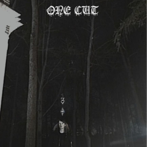 Третьи сутки