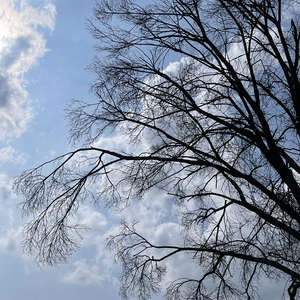 Blues moment-成品 (1).mp3