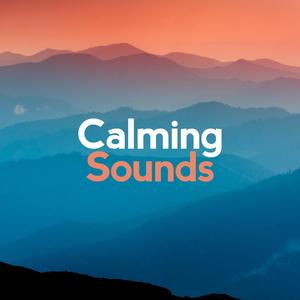 Rain Fills the Barrell