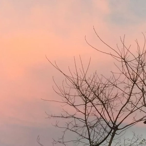 这一生关于你的风景