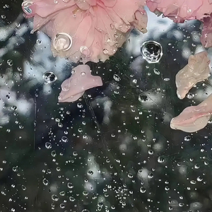 我是不是你的最爱