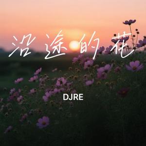 沿途的花
