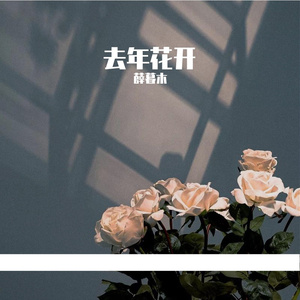 去年花开（cover：王忻辰/苏星婕）
