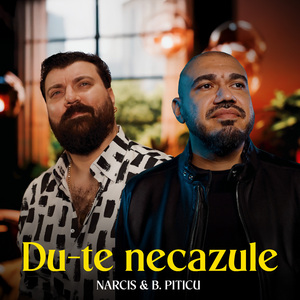 Du-te necazule
