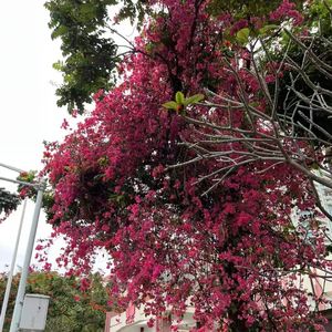 敬你，敬我，敬未来