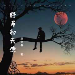 野马和天使 (Demo)