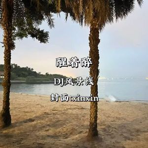 醒着醉（DJ风景线 remix）