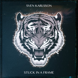 Stuck In A Frame