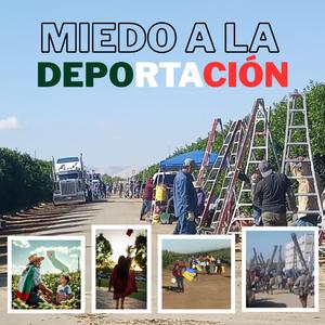 Miedo a la Deportación