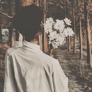 星河