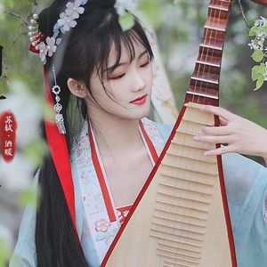 望江南·琵琶独奏版