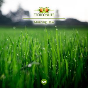 Morning Dew