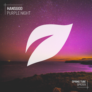 Purple Night (Original Mix)