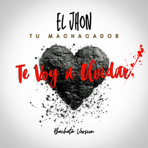 Te Voy a Olvidar (Bachata Version)