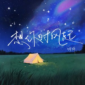 想你时风起