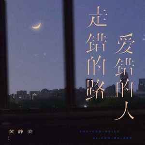 走错的路爱错的人 (DJheap九天版)