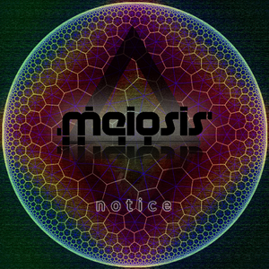 Trouble (Meiosis Remix)