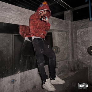 เคยป่าว