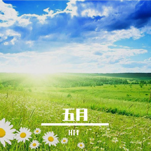 今天是个好天气