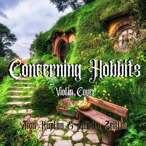 Concerning Hobbits (Violin Cover)