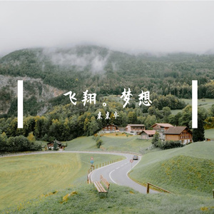 飞翔.梦想