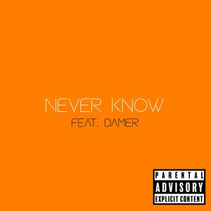 Never Know (feat. Damer)
