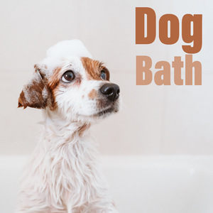 Ready for Spa Treatments