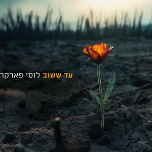 מרוץ