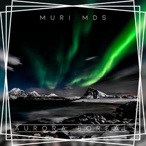 Divergente (feat. V.I.P.N)