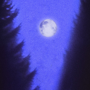 Moondance (feat. leah julia)