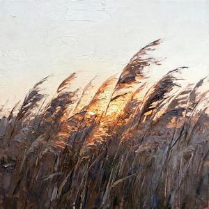 晚风告白 (Cover 星野)