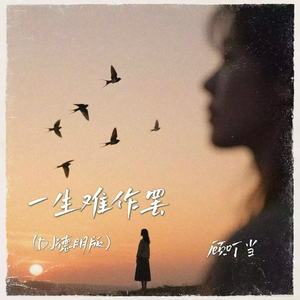 一生难作罢 (DJ德朋版)