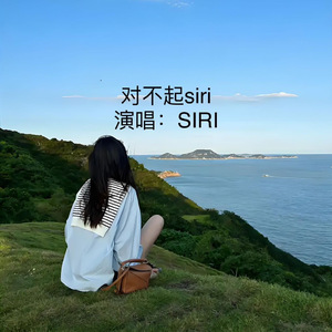 对不起siri