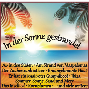 Mister Strandgeflüster