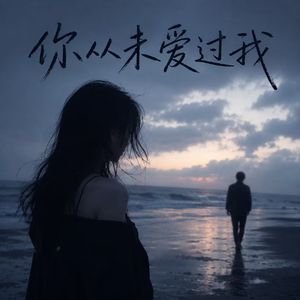 你从未爱过我