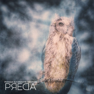 Preda
