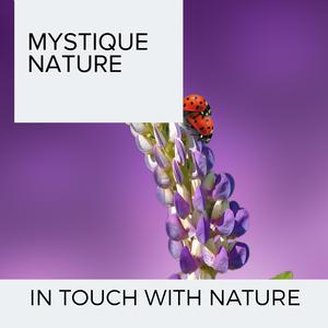 Blossom Small Birds in Spring