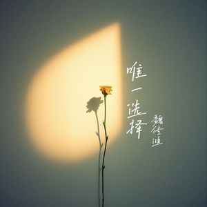 唯一选择(伴奏)