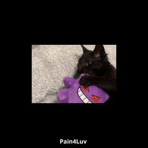 Pain4Luv