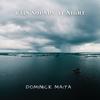 Dominick Maita - Calm Before the Storm