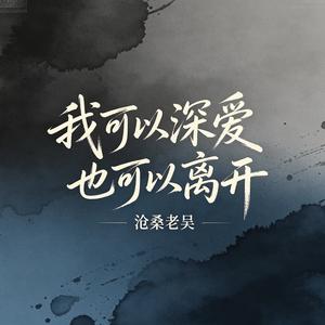 我可以深爱也可以离开（我是不是该安静的走开）