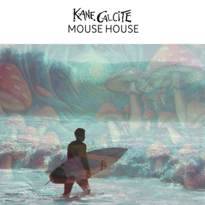 MOUSE HOUSE