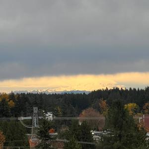 천명대로(늬 맘대로 살어)