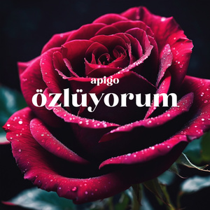 Özlüyorum