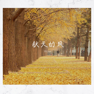 秋天的风