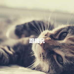 Fantastic Music for Dreampop Moods