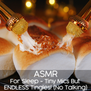ASMR Mics in marshmallows