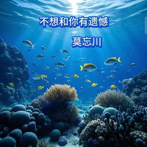 不想和你有遗憾