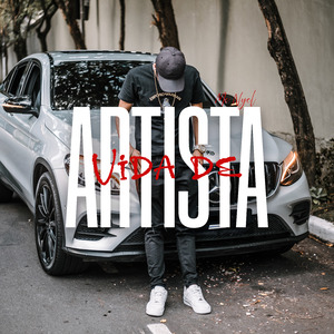 Vida de Artista
